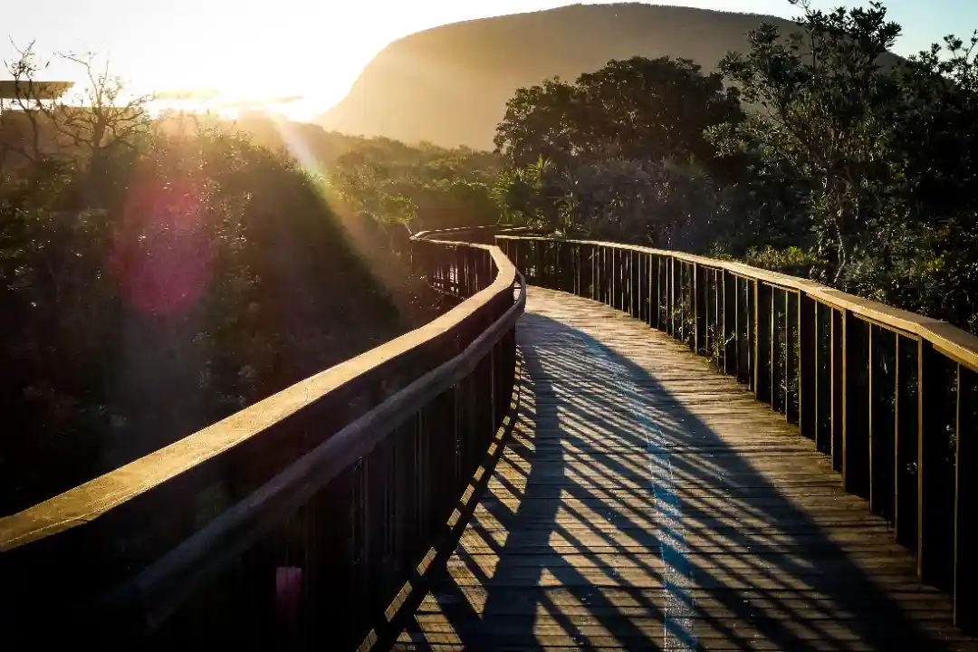 Estate Lawyer Sunshine Coast