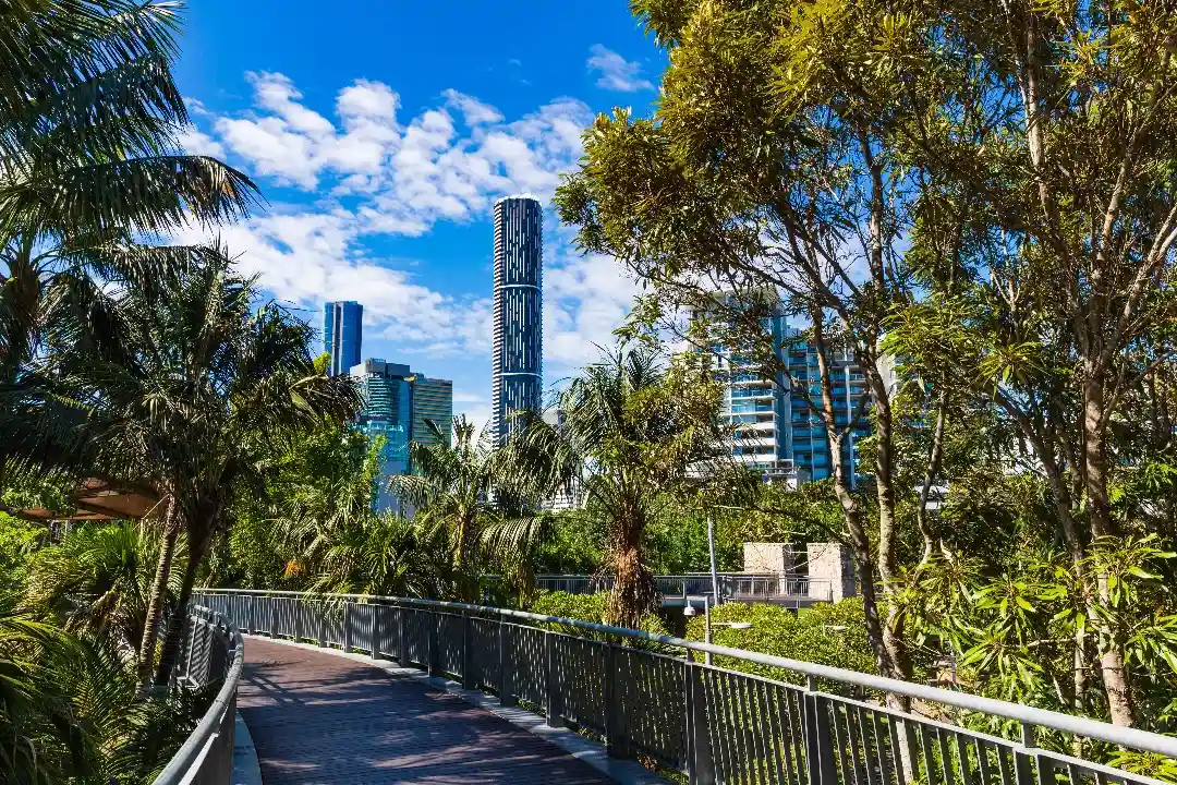 Estate Litigation Lawyer Brisbane