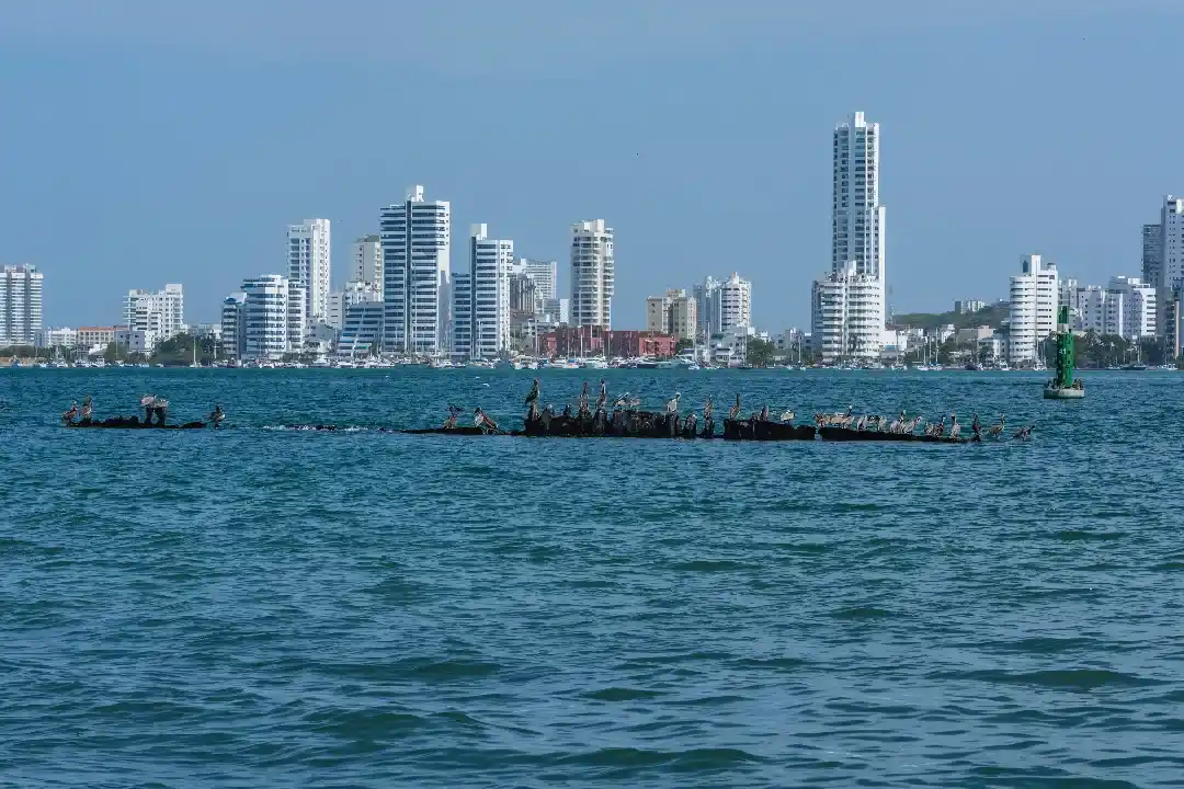 Family Lawyers Pelican Waters