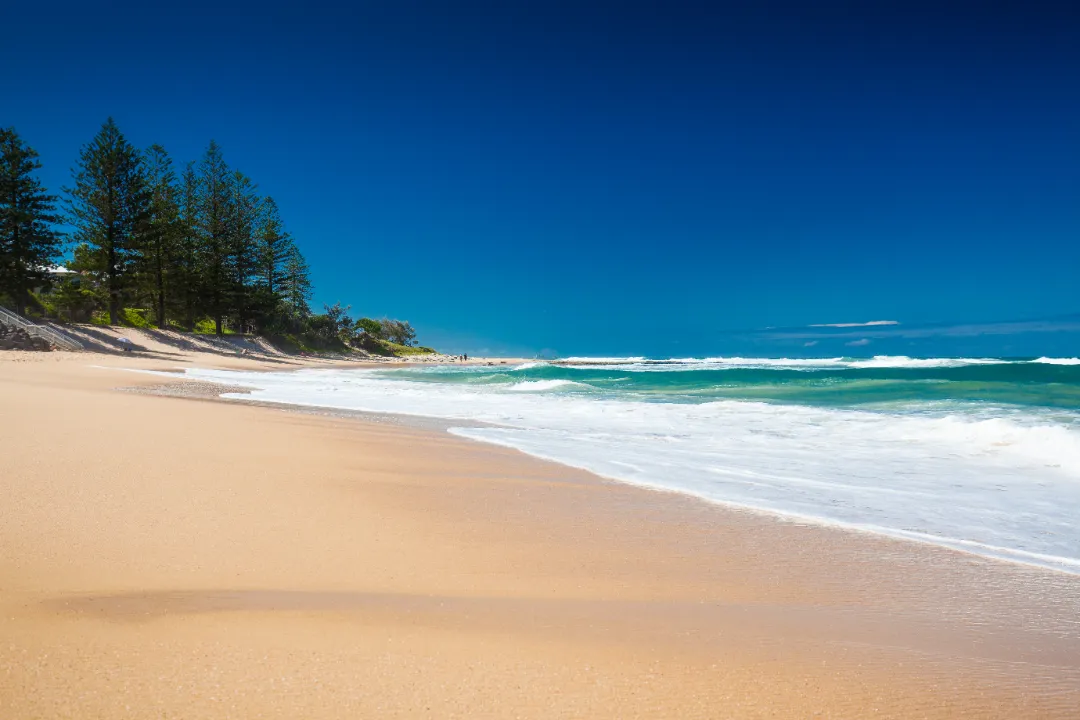 Family Lawyers Dicky Beach