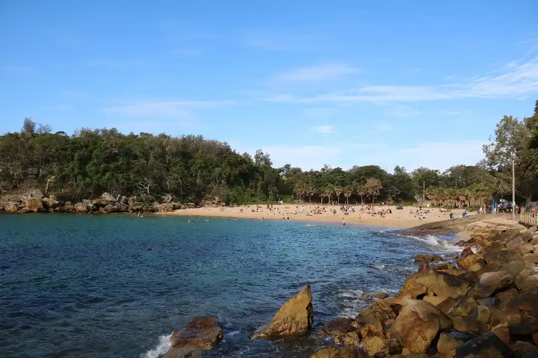 Family Lawyers Shelly Beach